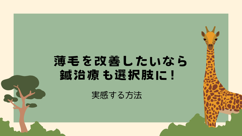 薄毛を改善したいなら鍼治療も選択肢に！実感する方法